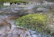 AQUARIUS - Vesiensuojelu · 2018. 4. 30. · Aquarius 1/2013 3 Pohjavedet ovat arvokkainta kansallisomaisuuttamme Jukka Koski-Vähälä 4 Pohjavesiin liittyvää lainsäädäntöä