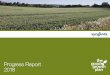 Progress Report 2018 · 2019. 12. 3. · Syngenta The Good Growth Plan Progress Report 2018 05 Overview Make crops more efficient Rescue more farmland Help biodiversity fiourish Empower
