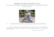 SHAOLIN ROU QUAN YI LUshaolinqigong.pl/wp-content/uploads/2014/10/SHAOLIN-ROU...Mistrz stylu Shaolin Rou Quan - shaoliński mnich Shi Yanzhuang, praktykujący formę Shaolin Rou Quan