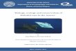 Biology, ecology and conservation of mobulid rays in the Azores · 2016. 12. 23. · Mobulid rays in the Azores” by . Ana Filipa Lourenço Sobral . Thesis submitted to the University