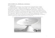 LECTURE 14: Reflector Antennas Introductionelo349/Material%20bibliogr%E1fico%20...6 The reflector design problem consists mainly of matching the feed antenna pattern to the reflector