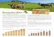 Eine Erfolgsgeschichte · 2018. 11. 22. · Eine Erfolgsgeschichte Vor über zehn Jahren machten sich in Urnäsch 37 Bauernfamilien daran, die Verarbeitung und Vermarktung ihrer Milch
