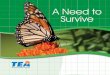 A Need to Survive Need to... · 2020. 1. 13. · A Need to Survive. This book was developed in collaboration with Region 4 Education Service Center, Houston, Texas. A Need to Survive