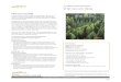 Vi lär oss om: Skog - SLIres.sli.se/00/Media/SOL/Sol7516_Vi_lar_oss_om_Skog_Stdhl.pdf · 2019. 12. 9. · Vi lär oss om: Skog Sveriges skogar Låt eleverna undersöka mer kring