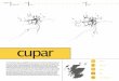 cupar · 2010. 6. 17. · population date of map 7427 6766 1856 1896 63.36 % £245,220 355ha 3805 10.7 dwellings/ha cupar In 12th century Cupar was established as the county town