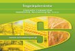 nawozy Rolnicze 2016 rumunska - Synagrasynagra.ro/NPK_Synagra.pdfformă de azotat, 10% fosfor (P2O5), solvabil în acizi minerali, 21% potasiu (K2O) în formă de sare de potasiu,
