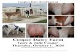 Cooper Dairy Farm › wzukusers › user-27931289 › document… · MILKING & DRY COWS: AlI lactating cows will be milked out after being struck off. It is strongly recommended each