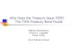 Why Does the Treasury Issue TIPS? The TIPS-Treasury Bond Puzzle · 2015. 3. 3. · TIPS issue exactly replicating the cash flows of the T-bond by more than $20 per $100 notional