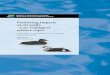 Predicting impacts of oil spills - Can ecological science cope?...Et studie af havfugle, økologi og miljøkonsekvensvurderinger af oliespild i Arktis I denne rapport undersøges hvilke