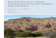 Brackish Resources Aquifer Characterization System ......Database Data Dictionary . By . John E. Meyer, P.G. April 2020 . ii . Cover photo courtesy Nicole Meyer “Palo Duro State