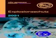 Explosionsschutz - Consulting GmbH · 2020. 10. 29. · 0165-101), IEC EN 60079-10-2, TRGS 509, TRGS 510 und DGUV-R 113-001 "Beispielsammlung zur Einteilung explosionsgefährdeter