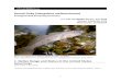 Round Goby (Neogobius melanostomus - FWS › fisheries › ans › erss › highrisk › ...Simcoe and the Trent–Severn waterway in Ontario (Borwick & Brownson, 2006), [and] Rice
