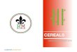 BROCHURE ~CEREALS RMIB - WordPress.com · 2019. 8. 9. · ALIMENTOS ARGENTINOS PRODUCT: YELLOW CORN HUMAN / FEED SPECS: Origin: Argentina First quality Smell: characteristic Colour: