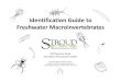 Identification Guide to Freshwater Macroinvertebratessfrc.ufl.edu/wp-content/uploads/Stroud-Macro-Key...Identification Guide to Freshwater Macroinvertebrates Jointed legs No jointed