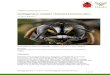 Kartlegging av insekter i Sokndal kommune 2017 · PDF file 2017. 12. 18. · Kartlegging av insekter i Sokndal kommune 2017 Av Jarl S. Birkeland Kongevedgraver (Ectemnius cephalotes)