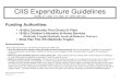 CIIS Exp Guid version 1 FINAL Expenditure... · 2014. 11. 25. · CIIS Expenditure Guidelines Version 1.0 2 Paid supports are meant to meet identified needs – at the time when they