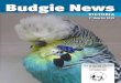 Budgie News · 2019. 2. 24. · BCV President President’s Report . 1st Quarter 2019 – Budgie News Victoria 5 2019 Show Calendar for The Budgerigar Council Of Victoria Date Event