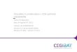 Chaudière à condensation + CESI optimisé VIESSMANN · Chaudière à condensation + CESI optimisé VIESSMANN Fiche d ’ intégration dans le logiciel RT 2012 : U22win de PERRENOUD