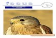 Abu Dhabi, May 2012 Vol 36 (5)enhg.org/Portals/1/AbuDhabi/focus/ENHGFocus2012_05.pdf · 2020. 12. 22. · Grants (up to 10,000 dh) to study any aspect of Natural History of the UAE/GCC