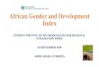 African Gender and Development Index - Homepage | ESCAP · 2018. 10. 3. · African Gender and Development Index EXPERTS’ MEETING ON METHODOLOGIES FOR REGIONAL INTEGRATION INDEX