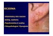 ECZEMA - Government Medical College and Hospital, Chandigarhgmch.gov.in › sites › default › files › documents › ECZEMA.pdf · ECZEMA -Inflammatory skin reaction -Itching,