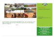 RAPPORT ENVIRONNEMENTAL ET SOCIAL DU MILLENNIUM … · RAPPORT ENVIRONNEMENTAL ET SOCIAL DU MILLENNIUM CHALLENGE ACCOUNT NIGER (MCA-Niger) 2019 MCA-Niger « Réduire la Pauvreté