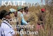 Organic farming Opportunities for Zimbabwe A presentation ... › greengrowth › 19 Collenberg OECD 191112.pdfThe KAITE team says: Thank you Visit KAITE in Zimbabwe You will see the