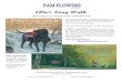 Ellie’s Long Walk - Pam Flowers Long Walk 8-2012.pdf · Ellie’s Long Walk The True Story of Two Friends on the Appalachian Trail When Pam adopted Ellie, an abandoned puppy, she