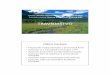 TRAVNJAŠTVO. Travnjastvo.pdf(travnjak iz doline) 0-30 6,12 5,00 1,4 9,3 2,99 - 3,72 Travnjački resursi –tipovi travnjaka •Planinski tip –Na 800 do 2.400 m nadmorske visine