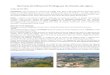 Des hauts de Collioure à l'Ermitage par les chemins des vignes...Des hauts de Collioure à l'Ermitage par les chemins des vignes Lundi, 24 avril 2017 Participants: Gil de retour au