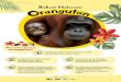 UNTUK PENDIDIK Rakan Haiwan · PDF file Rakan Haiwan: Mari belajar tentang orangutan: 1. Orangutan ialah sejenis mawas. Ia tidak mempunyai ekor seperti kera. 2. Jari-jemari di tapak