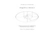 Algebra (4std.) - uni-frankfurt.de · 2014. 10. 13. · Jahrhunderte die Algebra, insbesondere die Körpertheorie motiviert. Es ist heutzu-tage kaum mehr wichtig, aber schön genug,