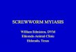Screwworm Myiasis...Screwworm Myiasis Robert B. Moeller Jr. California Animal Health and Food Safety Laboratory Tulare, CA 93274 rbmoeller@ucdavis.edu 559-688-7543 Nov 2009Screwworms