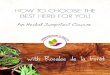 Workbook 4 | How to Choose the Best Herb for You · of the bestselling book Alchemy of Herbs: Transform Everyday Ingredients into Foods and Remedies that Heal as well as the online