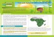 Can sub-Saharan Africa feed itself? · 2019. 9. 3. · 1 november 2017 Can sub-Saharan Africa feed itself? Мore free environmental science resources аt: By the year 2050, the world’s