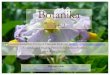 Botanika · 2020. 9. 30. · odnosi biljaka i spoljašnjesredine, fitocenologija-uzajamni odnosi biljnihzajednica i spoljašnjesredine, fitogeografija- rasprostranjenje biljaka),