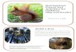 Red Squirrel Games and Activities for Children...Red Squirrel Games and Activities for Children (Big and Small!) Build a drey Fun fact! Squirrels build nests in trees, called dreys