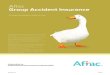 Aflac Group Accident Insurance - Washington, D.C....a crown EYE INJURIES Payable for eye injuries if, because of a covered accident, a doctor removes a foreign body from the eye, with