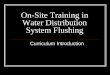 On-Site Training in Water Distribution System Flushing · 2020. 1. 28. · resort to flushing.” (McVay) Water Distribution System Flushing. 3 “Unfortunately, ... There is a vacuum