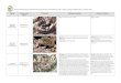 Species Conservation Photograph Confirmed Location/s ......Venomous Reptile Species Confirmed or Potentially Present on DoD Properties (2017). Species Arranged Alphabetically by Common