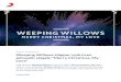 Weeping Willows släpper nyskriven julmusik; singeln ”Merry … · restriktioner. ” säger Magnus Carlson. Tillsammans med "Merry Christmas, My Love" släpps också en tolkning