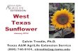 West Texas Sunflower - Texas A&M AgriLife · 2016. 12. 21. · West Texas Sunflower January 2014 Calvin Trostle, Ph.D. Texas A&M AgriLife Extension Service (806) 746-6101, ctrostle@ag.tamu.edu