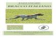 med rasklubbens kommentarer BRACCO ITALIANO · 2018. 12. 21. · Bracco italiano är en av de äldsta stående fågelhundsraserna och har använts för jakt sedan renässansen. 