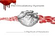 The Circulatory System - MS. MCCRINDLEmsmccrindle.weebly.com/uploads/1/0/9/2/109204089/00_big... · 2019. 11. 23. · Include: plasma, erythrocytes (red blood cells), leukocytes (white
