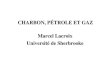CHARBON, PÉTROLE ET GAZ Marcel Lacroix Université de ...marcellacroix.espaceweb.usherbrooke.ca/ENERGIE/CHARBON...M. Lacroix Charbon, pétrole et gaz 10 Raffinage du pétrole 4. Distillation:séparation