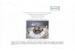 Relatório de Gestão 2008 Pref · Relatórios de Gestão Exercicio de 2008 Espiritos de lince / Lynx spirits [Espiritos de lince / spirits Linee: Felino nocturno e solitário, exímio