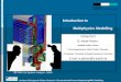 Introduction to Multiphysics Modelling - HySafe...Institut für Energie- und Klimaforschung – Elektrochemische Verfahrenstechnik (IEK-3) 1 - 25 Multiphysics modelling is an essential
