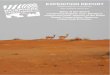 EXPEDITION REPORT - DDCR...Of the target species, the 2018 expedition observed 943 Arabian oryx, 555 mountain gazelle, 171 sand gazelle, 2 red fox, 3 Arabian hare, 18 MacQueen’s