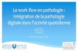 Le work flow en pathologie : Intégration de la pathologie ......Le work flow en pathologie : Intégration de la pathologie digitale dans l’activité quotidienne Clovis ADAM Olivier