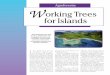 Working Trees for Islands · 2019. 6. 14. · tree species may mark land claims, or other species may be reserved for chiefs or others with harvesting rights. Plantings of some traditional